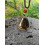 Pendentif en Ambre - ajustable