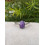 Bague en Charoite Ajustable en Argent sterling
