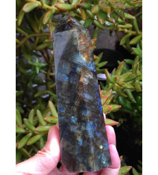 Pointe Labradorite