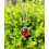 Pendentif Rond en Cornaline