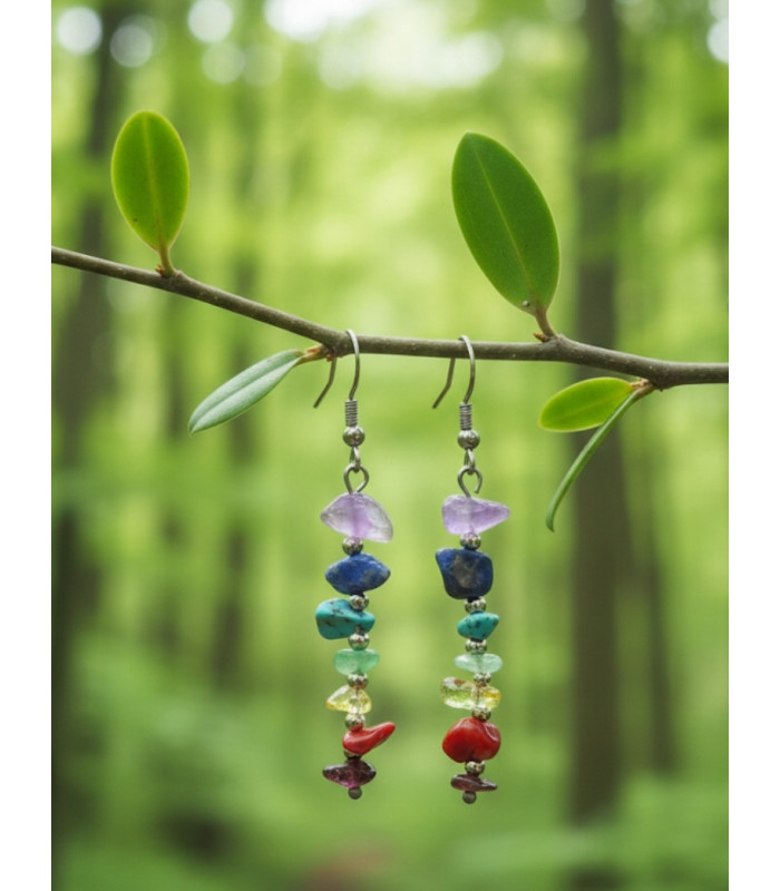 Boucles D'oreilles des 7 chakras