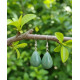 Boucles d'oreilles en Aventurine verte