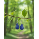 Boucles d'oreilles en Lapis lazuli