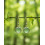 Boucles d'oreilles Rondes en Aventurine verte