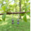Boucles d'oreilles Labradorite Argent sterling  925