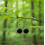 Boucles d'oreilles rondes en obsidienne noire