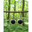 Boucles d'oreilles en Obsidienne noire