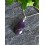 Pendentif " Sagesse " en Améthyste  - Argent Sterling 925