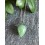 Pendentif Goutte en Aventurine