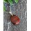 Pendentif en Oeil de Taureau - Argent 925s