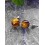 Boucles d'oreilles rondes en Oeil de tigre