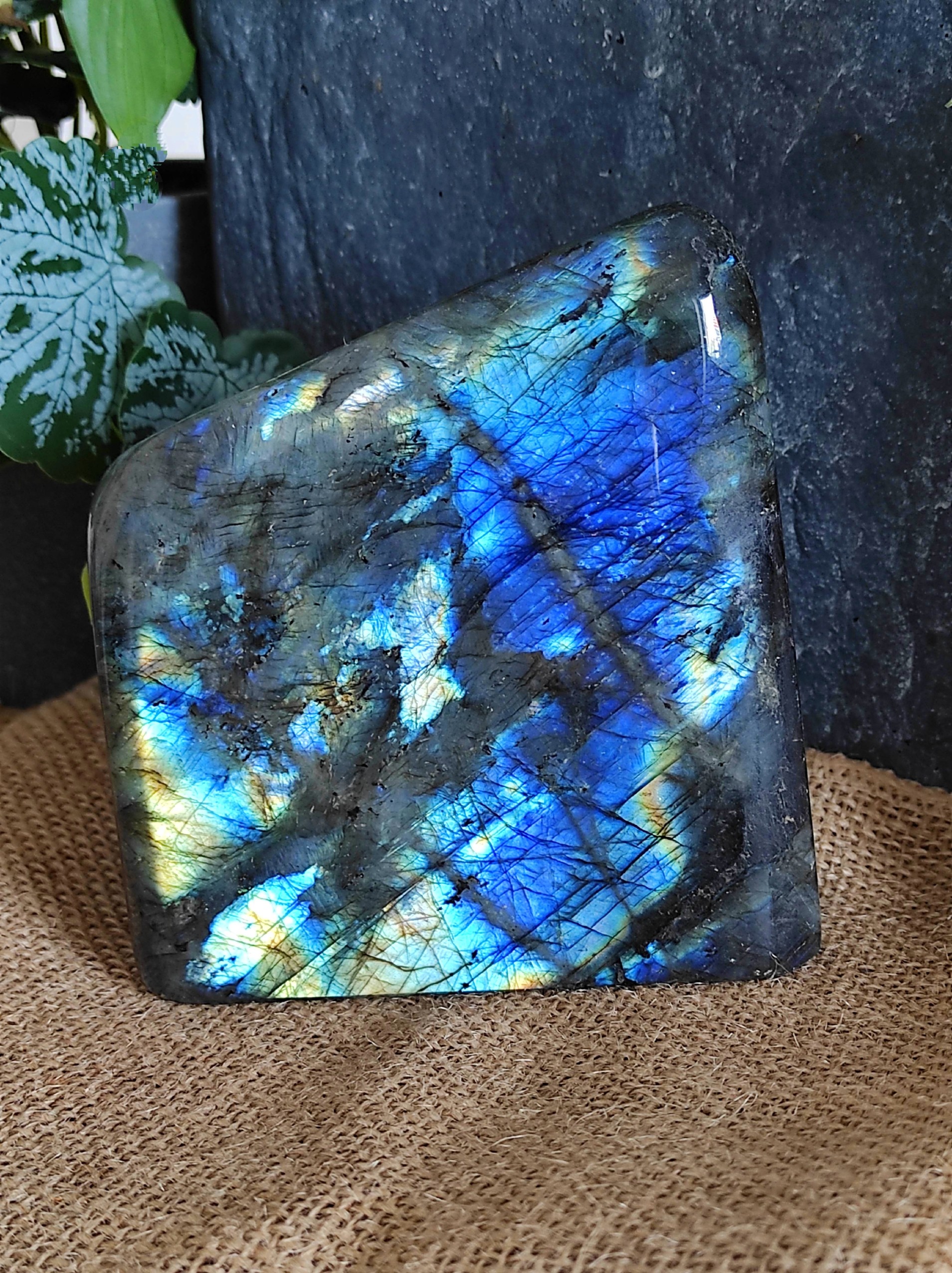 Labradorite pierre de protection Madagascar 700gr 11cm