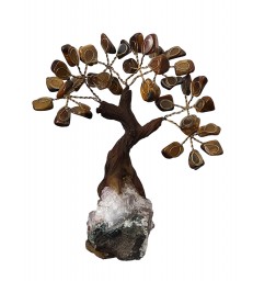 Arbre de Vie en Oeil de tigre sur druse d'améthyste