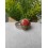 Bague Unakite Ajustable